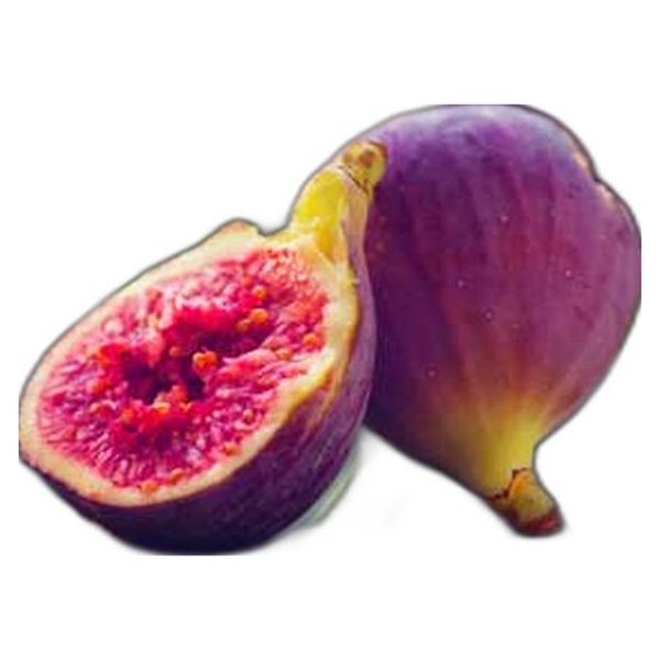 Fig