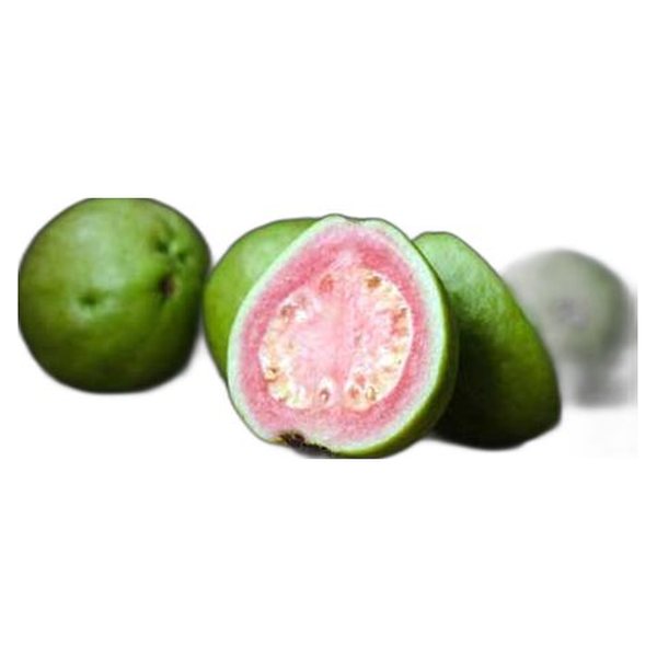 Guava