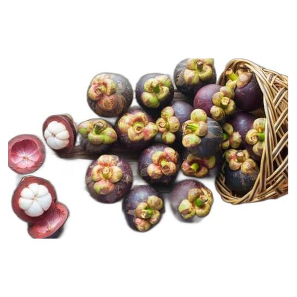 Mangosteen