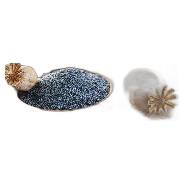 Poppy Seed