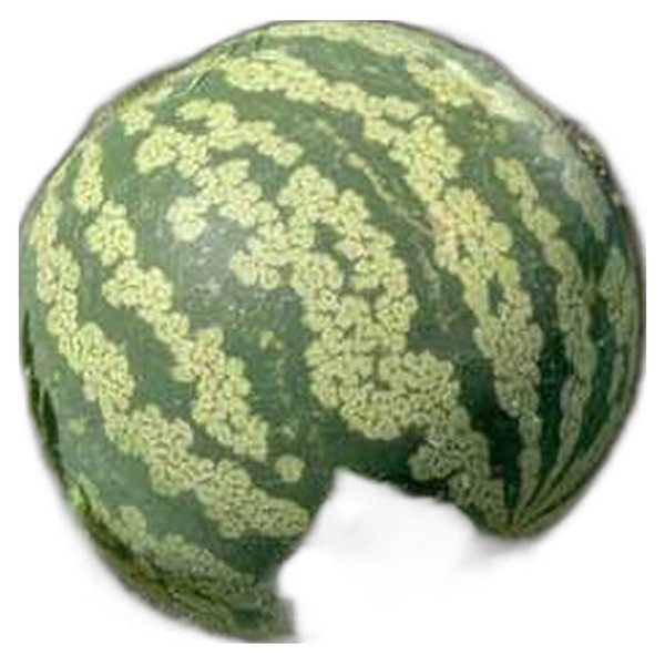 Kalahari Melon
