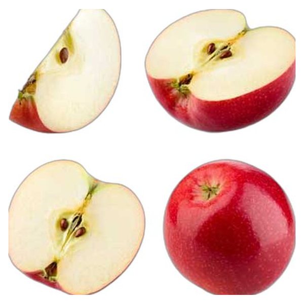 Apple Seed