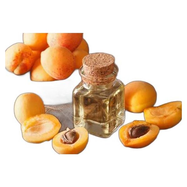 Apricot Kernel