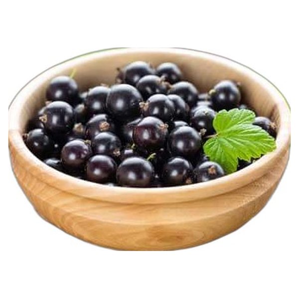 Black Currant