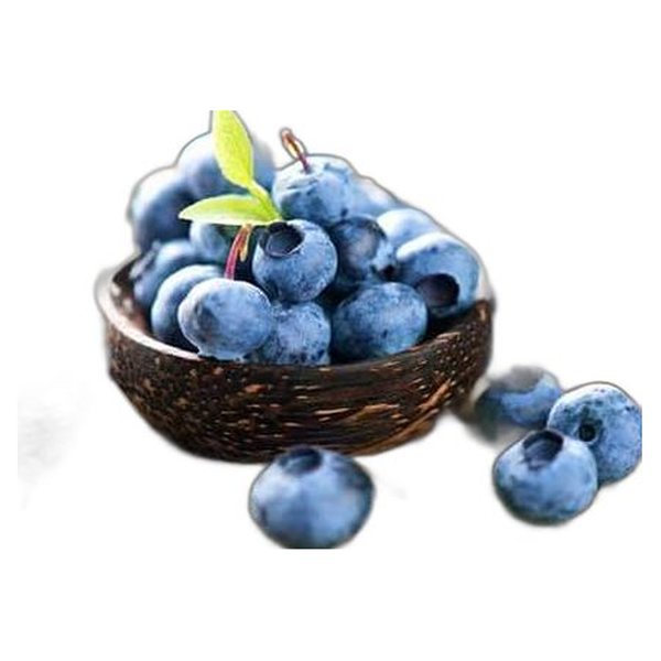 Blueberry