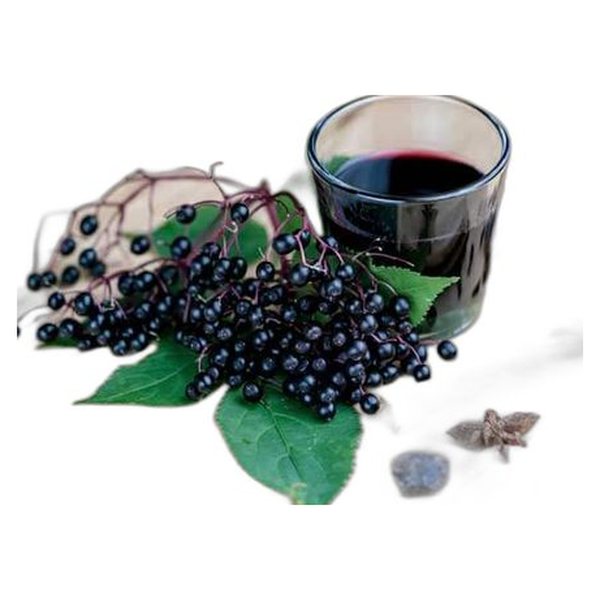 Elderberry