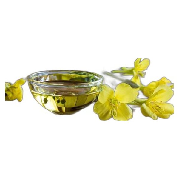 Evening Primrose