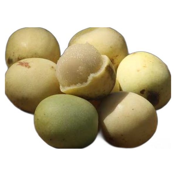 Marula