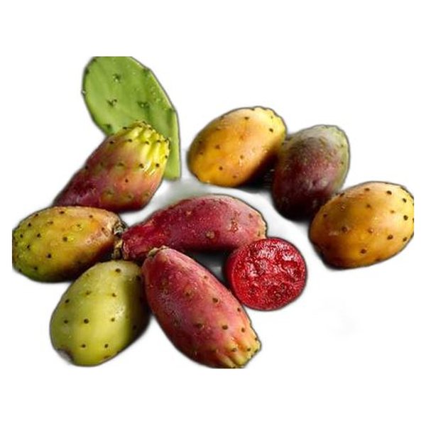 Prickly Pear