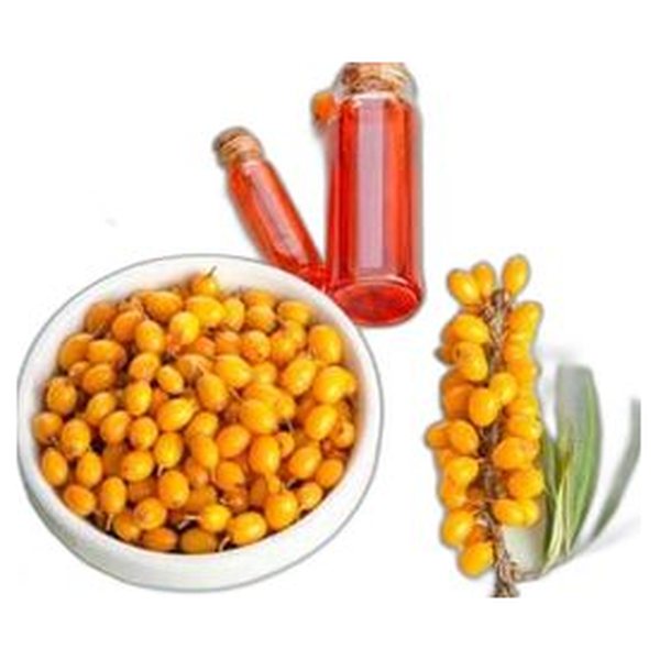 Sea Buckthorn