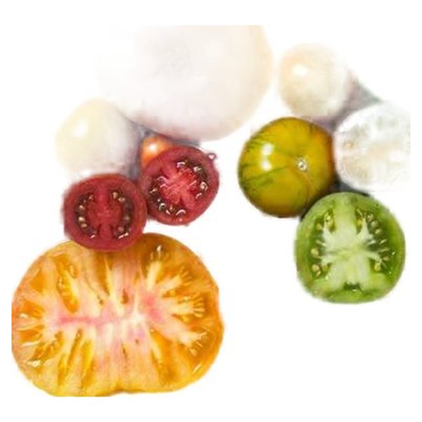 Tomato Seed